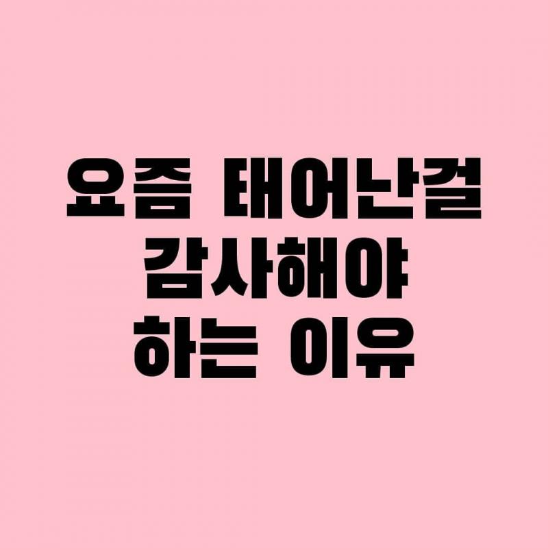 그 게시물