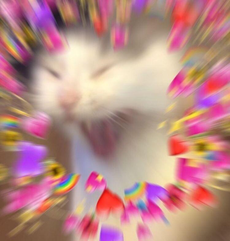 끼야오요요요요용!!!!!