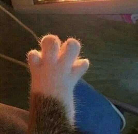 주워온 짤도 가능?