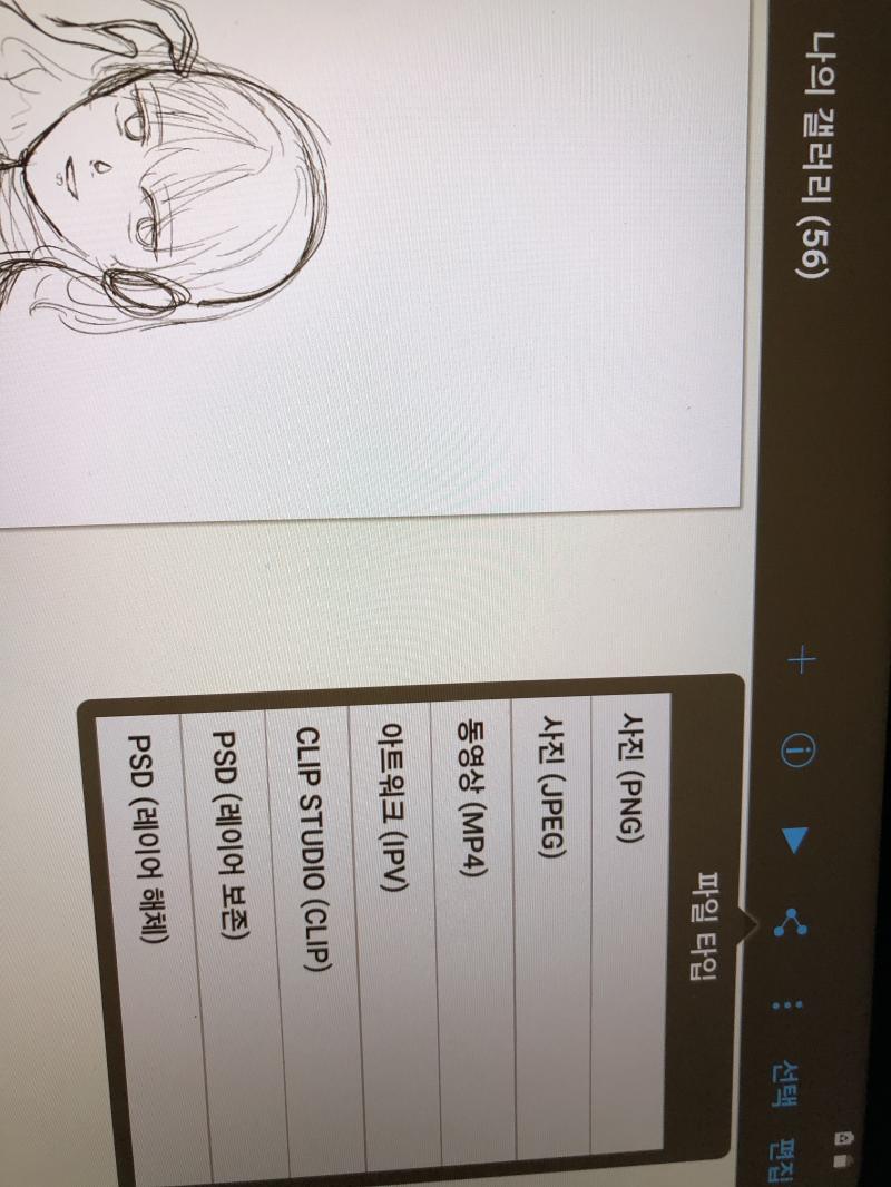 여기서 psd 레이어보존 해서 다른 앱에서 열어ㅓ 저장해보는건 어때?