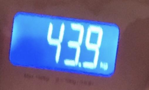 일단 이건 전 몸무게인데 지금 몸무게를 얻어서 좋은 건 생리가 제때 제때 와 전에 체중땐 생리불규칙 이였거든 ㅜ.ㅜ 생리불규칙때문에 굶어선 못뺄