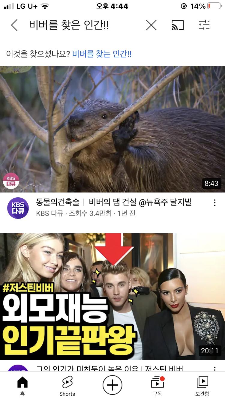 아 재밌겠당 ㅠ 유튜브 영상이라도 찾아보려고 검색했는데 전혀 이상한것만 나온다.. 아는 사람만 들어갈 수 있는 루트 ?!?!! 두둥 아니 근데
