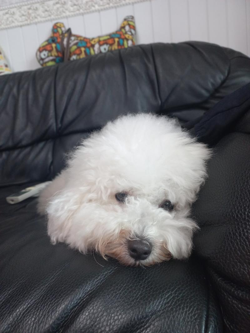 우선 나부터!