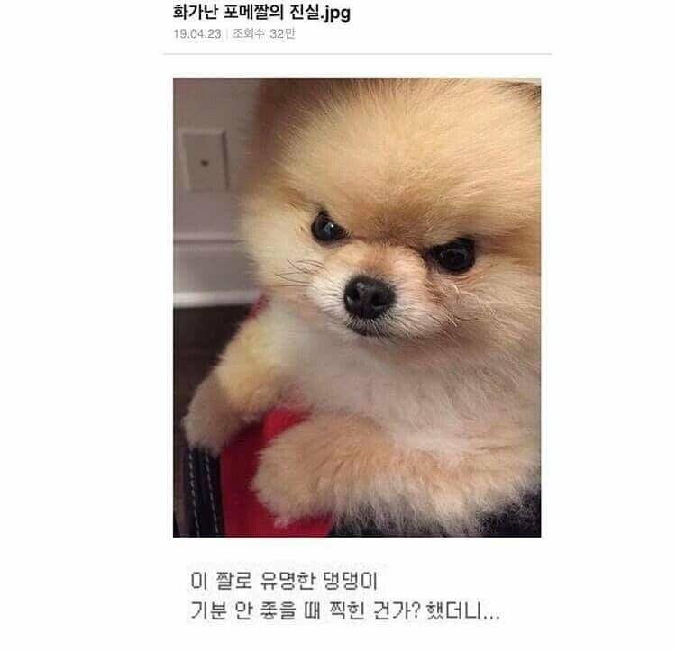잠깐 자랑타임! 스레주가 그린거얌