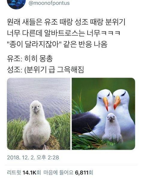 안뇽! 백만년만에 돌아온 스레주얌! 오늘은 동물짤을 올릴게ㅔ