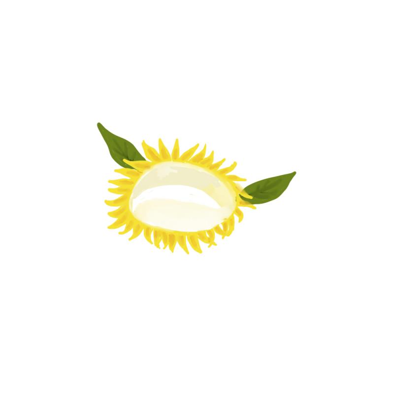 김탁구는 꿀을 넣어 달콤하게 만든 물방울 떡 주위에 색을 입힌 화이트 초콜렛을 올려 꽃잎을 표현하고 그 옆에 나뭇잎 모양의 말차 쿠키를 더해 디
