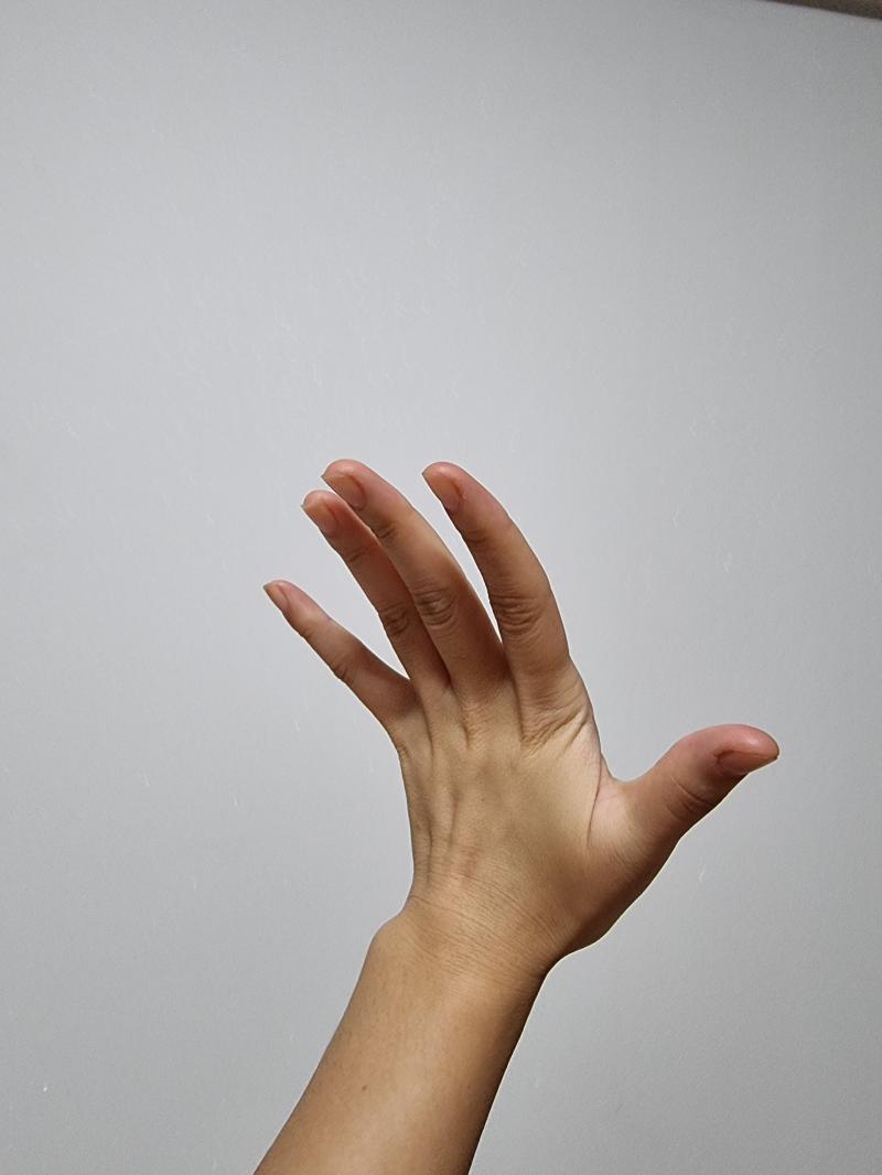 ㄴㄴ 안됨 레주 혹시 파가니니의 환생..?