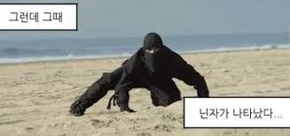 닌자!