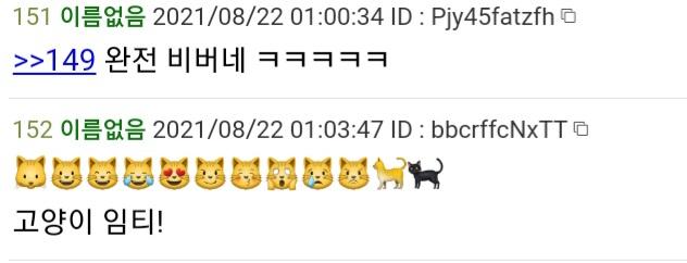 >>153 검은 고양이
