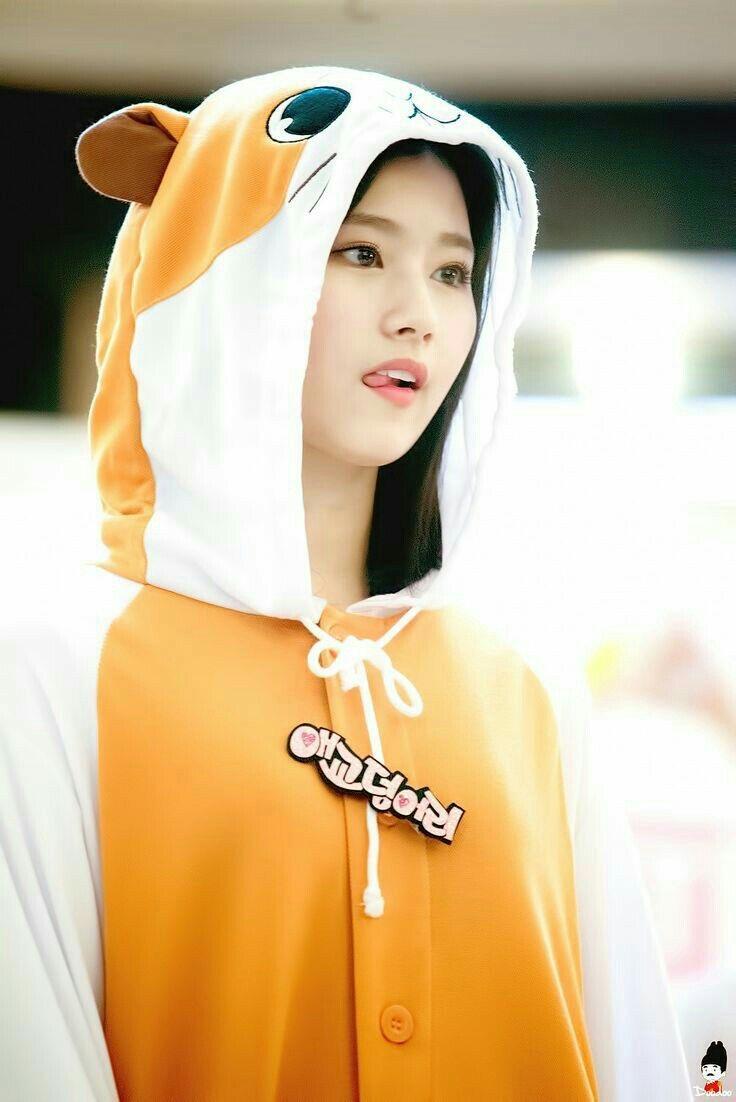 사나(트와이스) 햄찌같은 사나도 귀여움