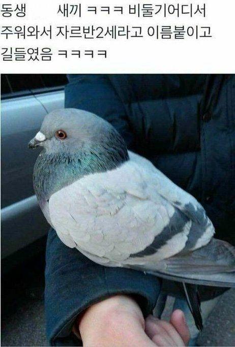혹시... 손윗형제가 있니?