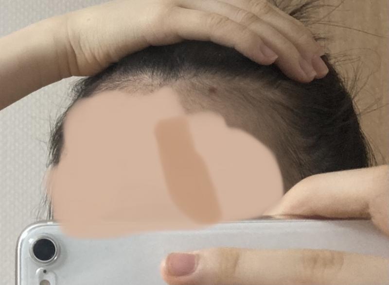 사진…