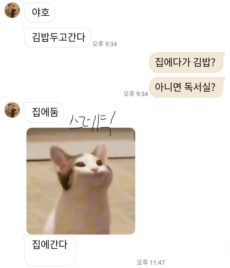 안 궁금할 수도 있지만 엄마랑 이러고 문자함!