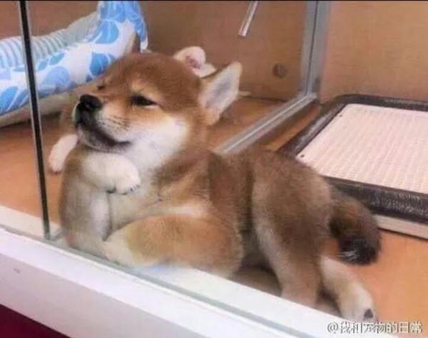 배고픔 서운함 고민중