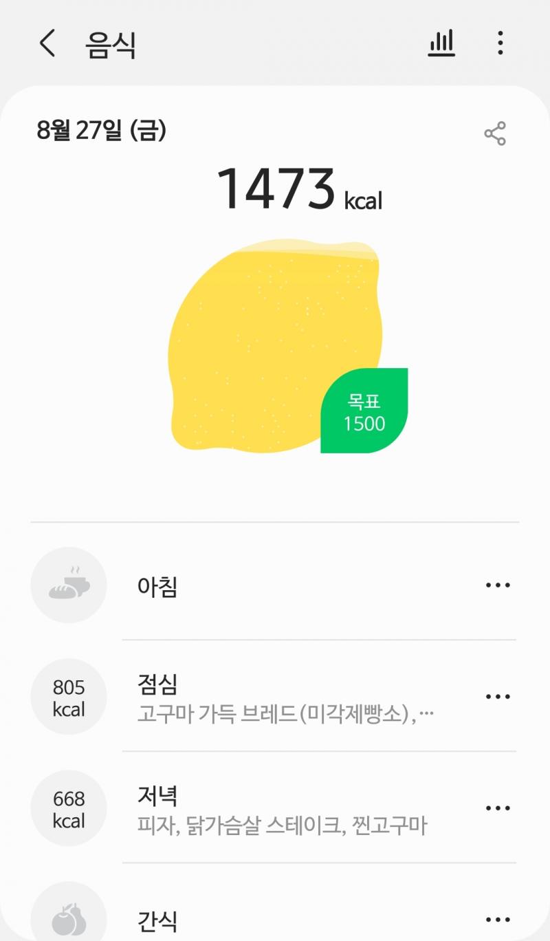 27일 활동량 식단