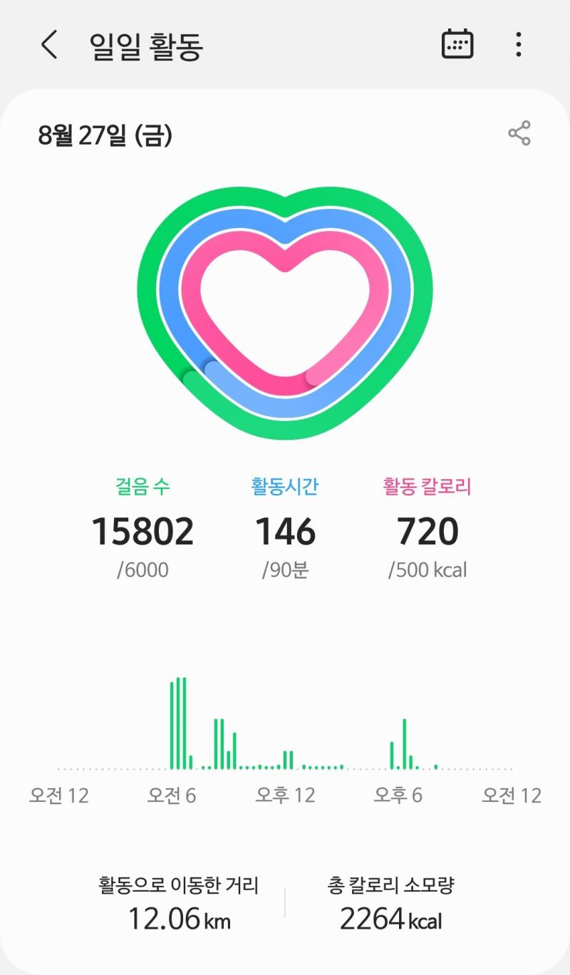 27일 활동량 식단