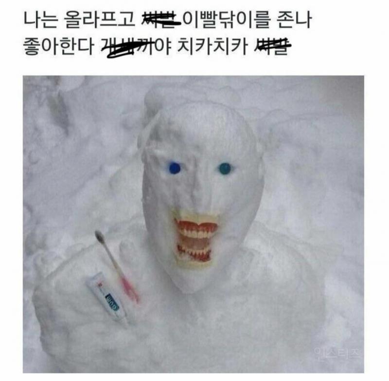 이 고양이 너무 이쁘지않아? 얼굴모양 비율 귀 하며 저 눈썹부분만 약간 더 진한것도 구렇거 핑크색 귀 발바닥 코 앙증맞은 입모양과 다소곳하게 입