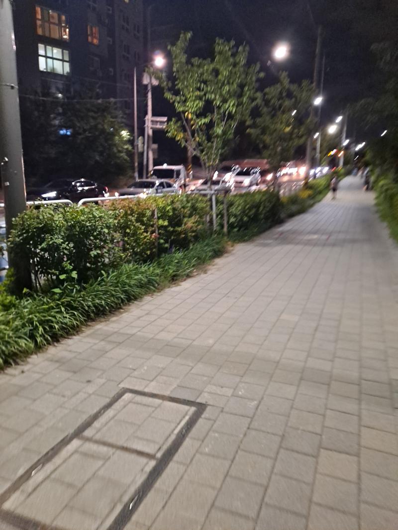 오랜만에 산책나와따