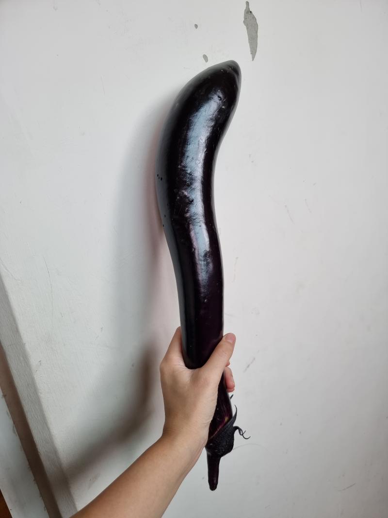 애들아 하이 ㅋㅋㅋ오늘은 가지가 왔는데 가지 크기 실화야? 몽둥이 아님? 감촉이 사람 팔 같아 ㅋㅋ