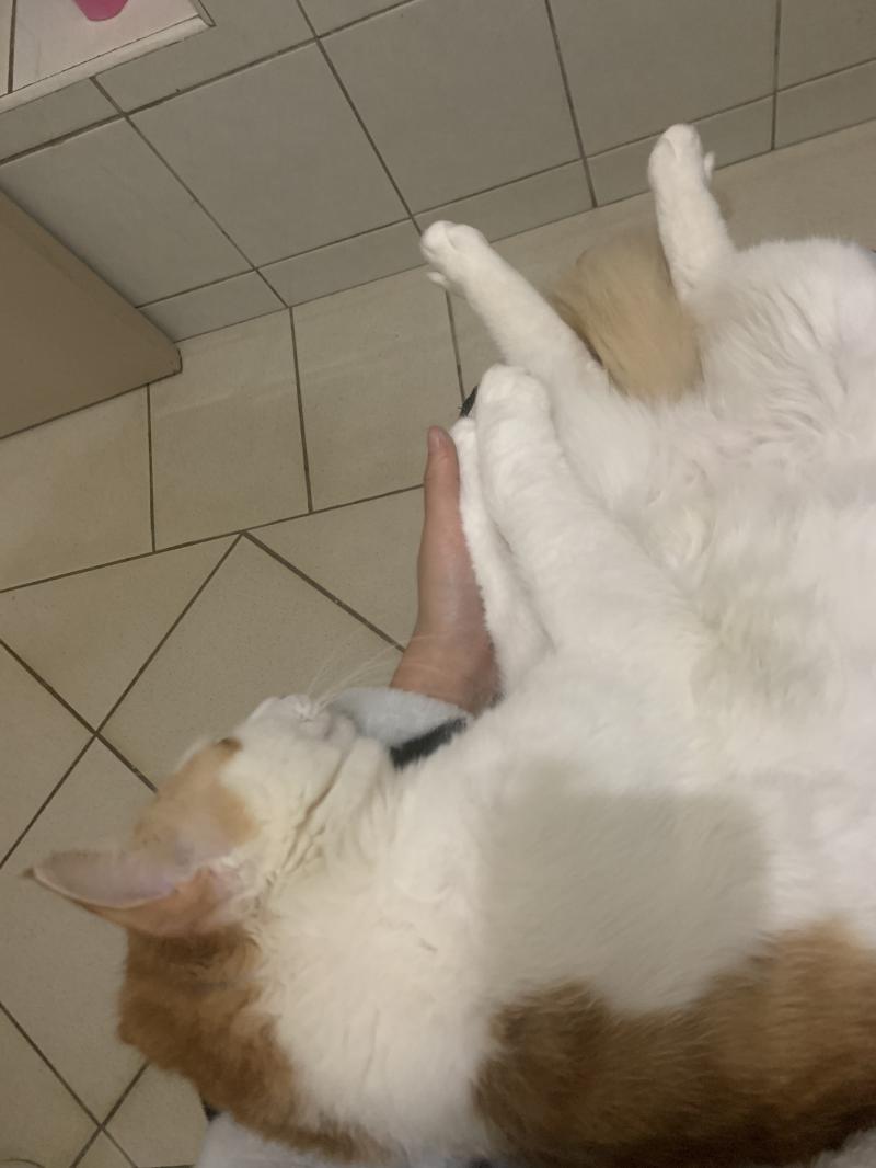 배 뜨끈하니 똥 진짜 잘나와..