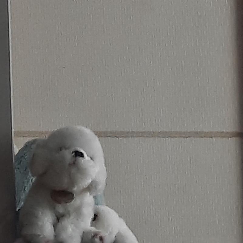 내가 지금 학생인데, 똑똑해졌으면 좋겠어. 고3이 되더라도 그냥 공부를 잘하는 사람. 전교 1등 같은 건 아니여도 좋지만 그냥 엄청 똑똑해졌으면