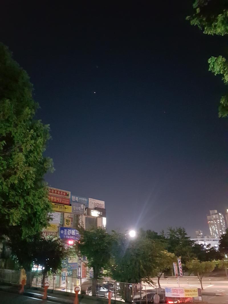 두개 있더라 예쁨