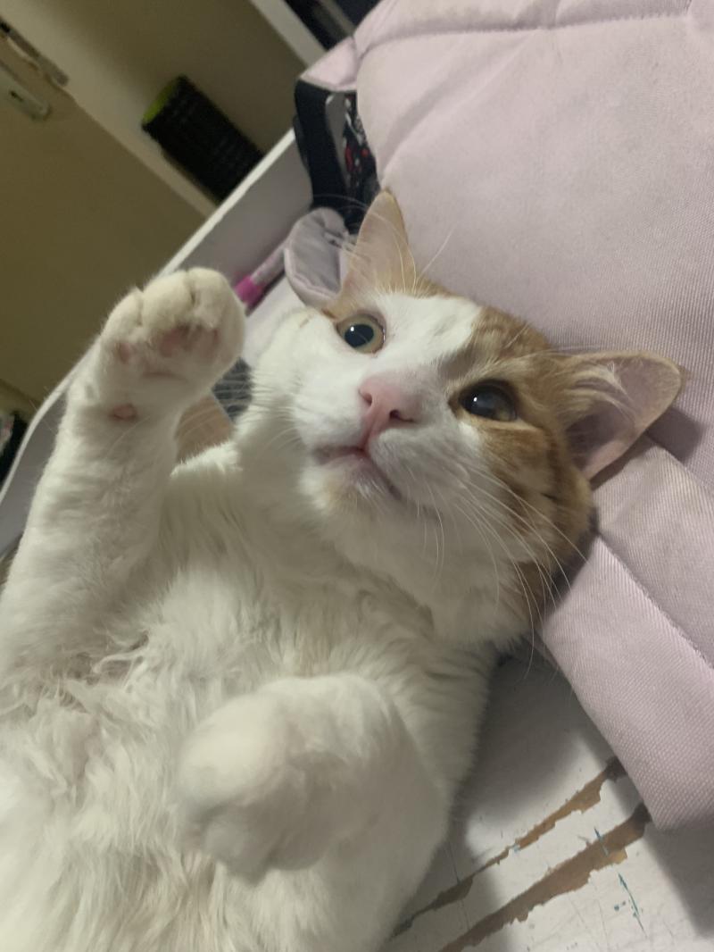 >>5 까꿍