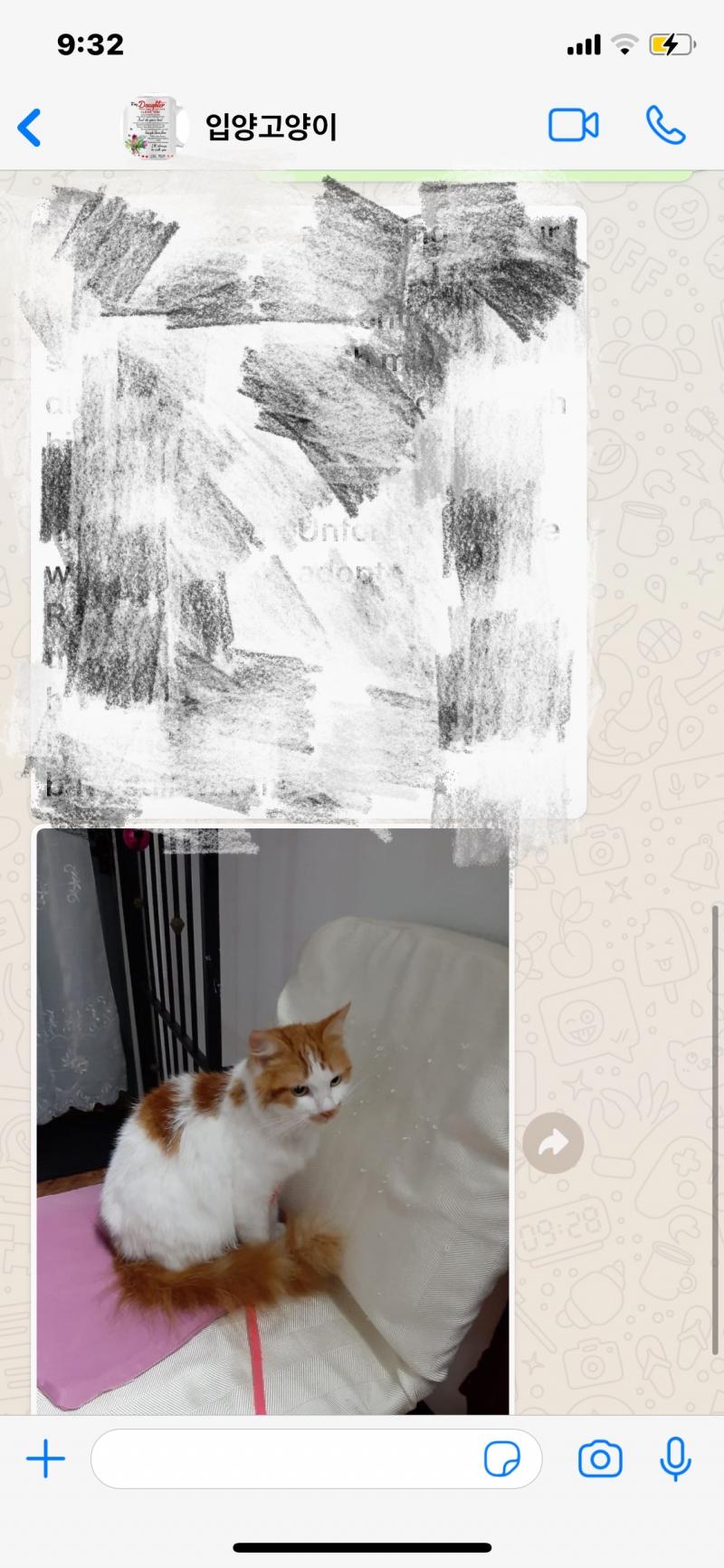 장문으로..나한테 미안하다고..하..그 다른분한테 괜히 미안하다