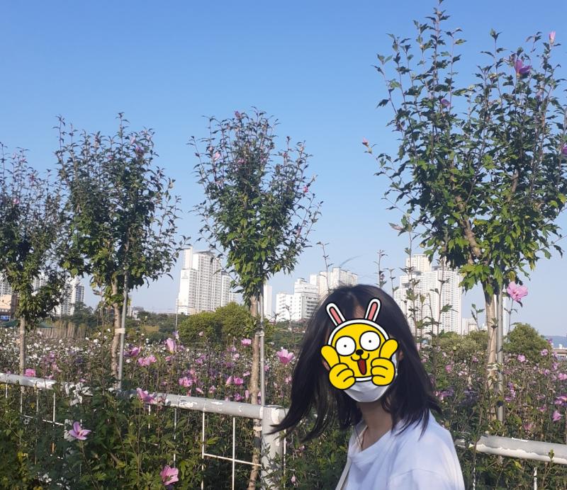 지금은 아파트도 생기고 많이 바꼇다