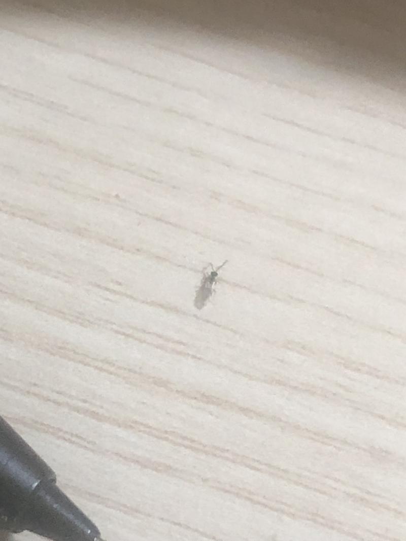 ㅗㅜ