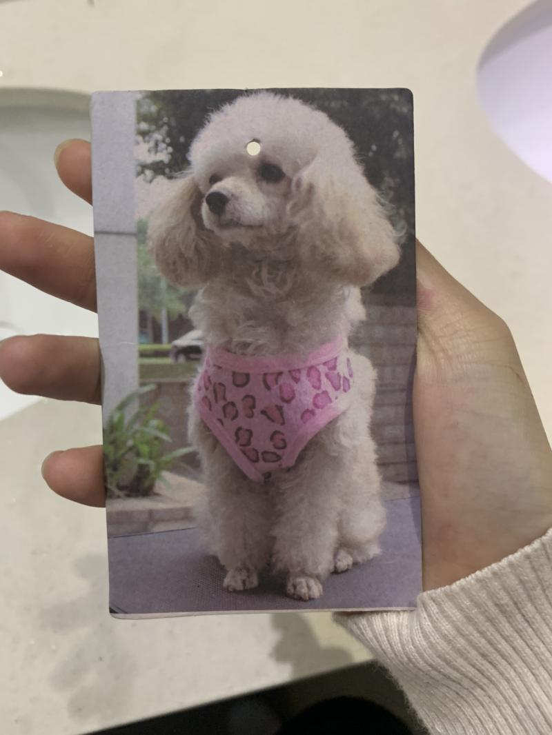 레주 나 얼마전에 주차장에서 이걸 주웠는데 은근 찝찝하고 두통이 갑자기 생겨서 바로 버렸거든..?여기에 안좋은기운이 붙어있었던거야ㆍ 아님..그냥