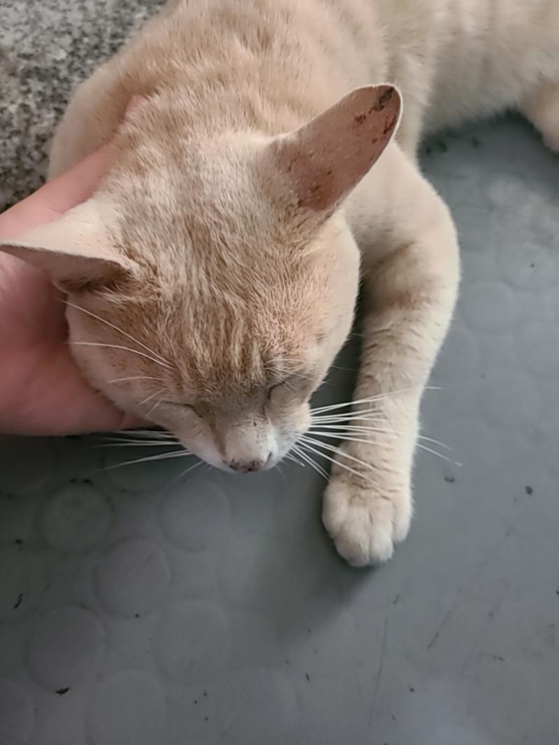 난 네가 싫어.