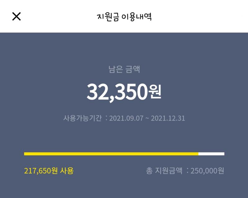카드사 앱이나 홈페이지에 재난지원금 조회 있을걸 카카오뱅크 쓰는데 카뱅은 이렇게 뜸 그리고 백화점은 재난지원금 안 돼!