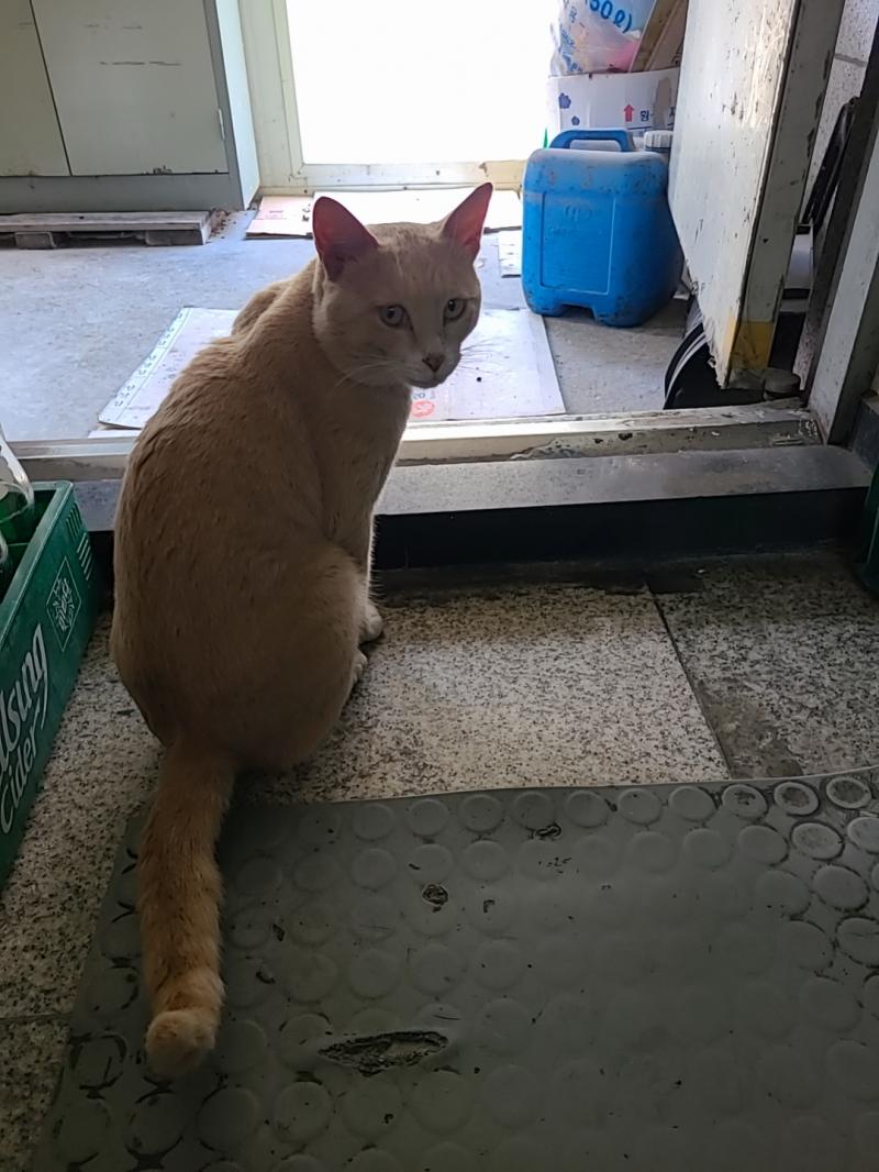 양심없는 놈.