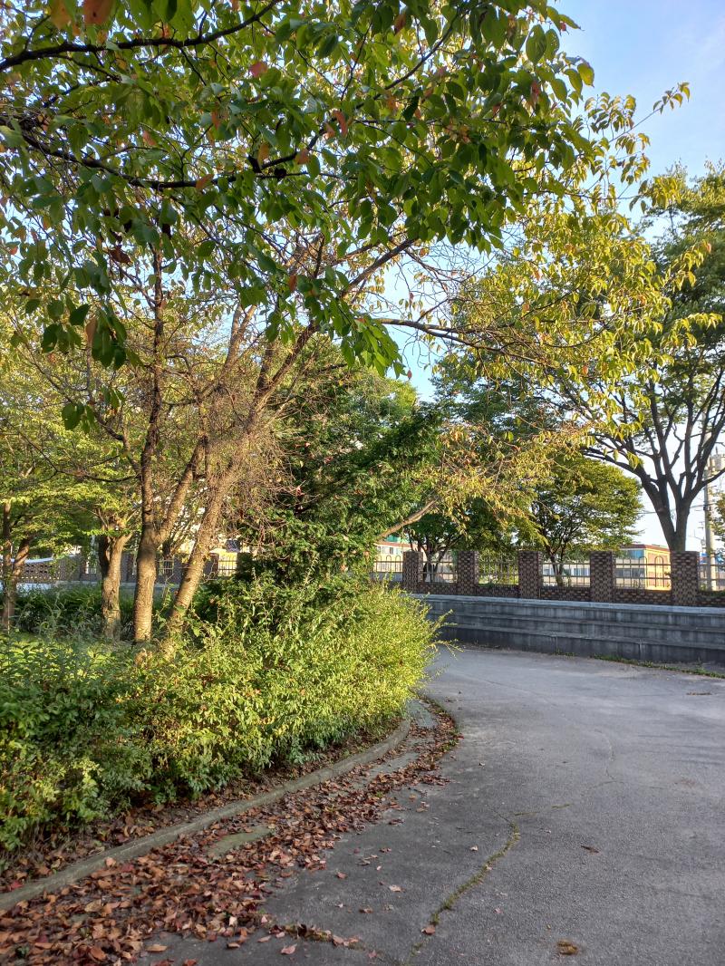 오늘 학교에서 내가 찍은 것