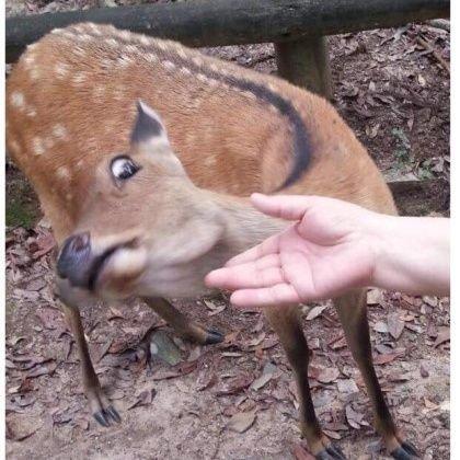 킹받아