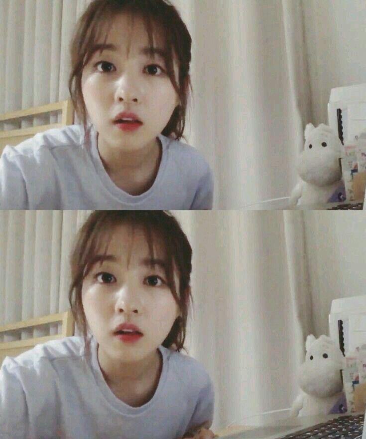 박보영