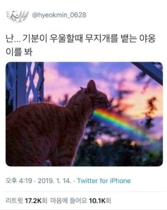 부웨에에엑ㄱ