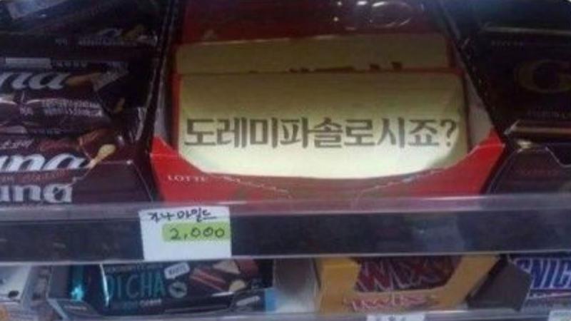 도레미파솔라시팔새끼가