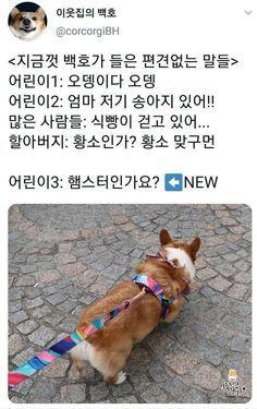 편견없고 무해한 사람들