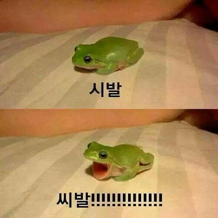 사실 내일 음악 수행평가 있는데..