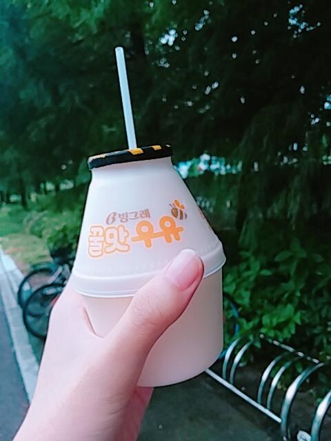 빙그레 꿀맛 우유 후기: 걍 달짝지근한 우유맛임 차갑게 먹는 것보다 실온에 뒀다 먹는게 맛있을듯