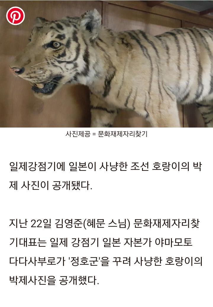 ㄴ