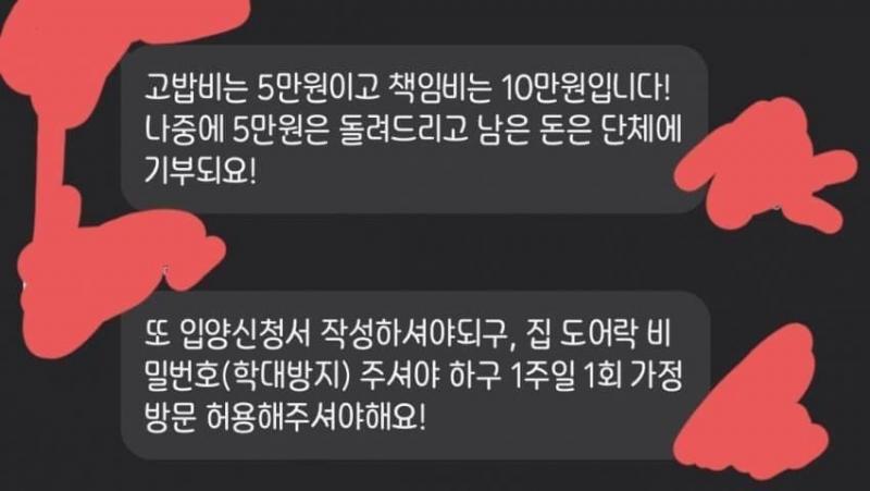 고밥비 받아서 돈 챙긴다던데 캣 맘, 캣 대디들 분양하면서 도어락 번호도 알려달라그러던데
