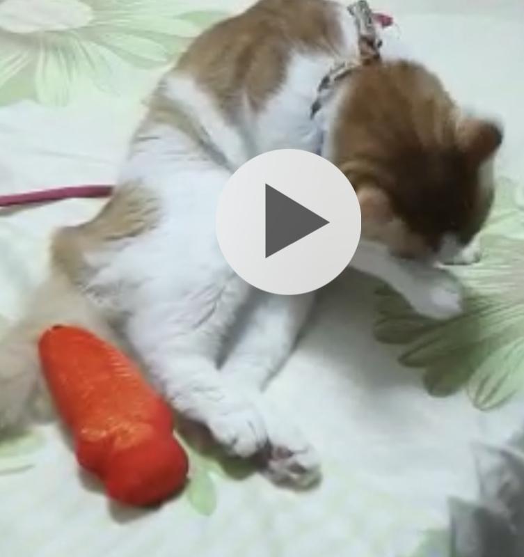 이런식으로 잘때도 채우더라ㅠㅠ