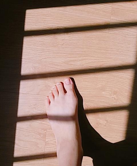 햇살이 노릇노릇