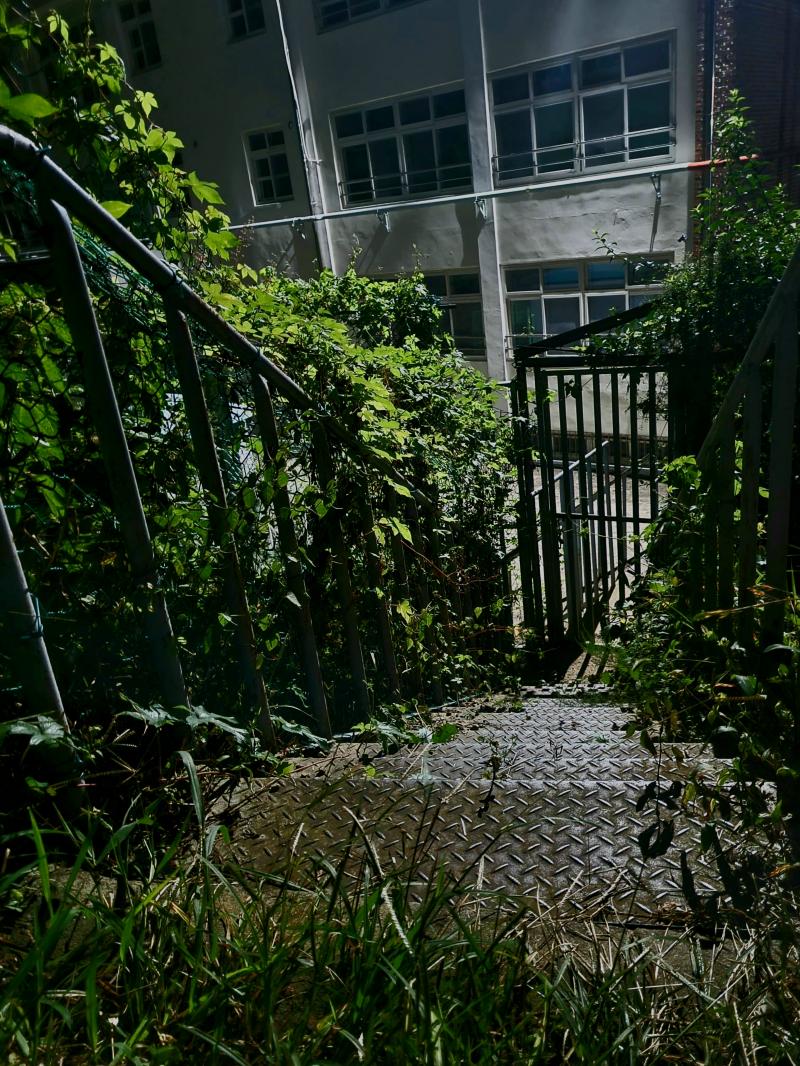 이 계단으로 내려가면 학교의 주차장이 나옵니다 사진이 뭔가 분위기 있게 찍혔네요