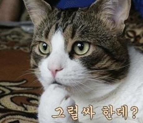>>27