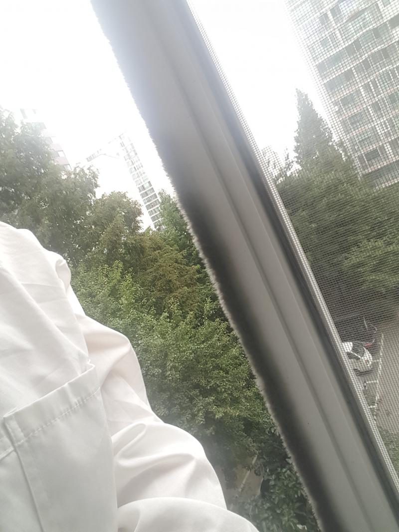>>18 앗 그러니... 그냥 소심하게 엉덩이 슬쩍 걸쳤다가 내려옴 앉는 건 안 무서운데 누가 볼까봐 무서워