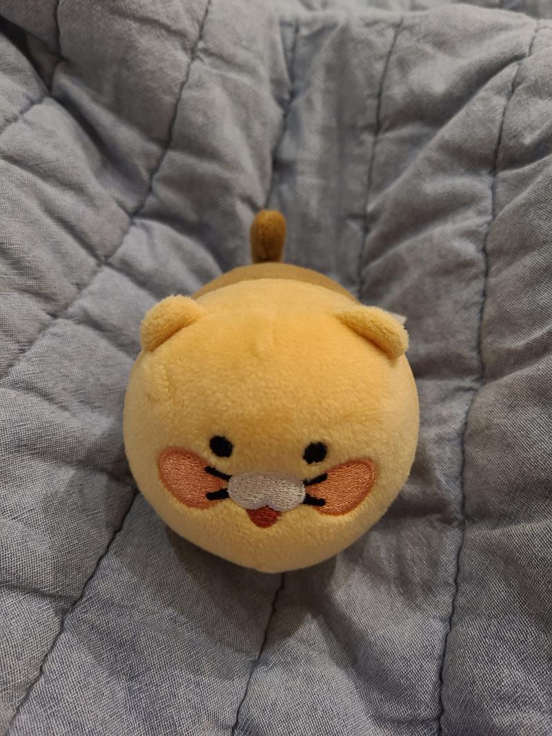 애인한테 선물받음 졸귀